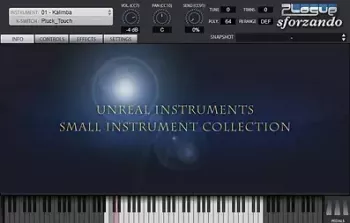 Unreal Instruments Small Instrument Collection for Sforzando-R2R screenshot