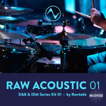 Steinberg Noise Design Raw Acoustic DnB & IDM 1 VSTSOUND screenshot