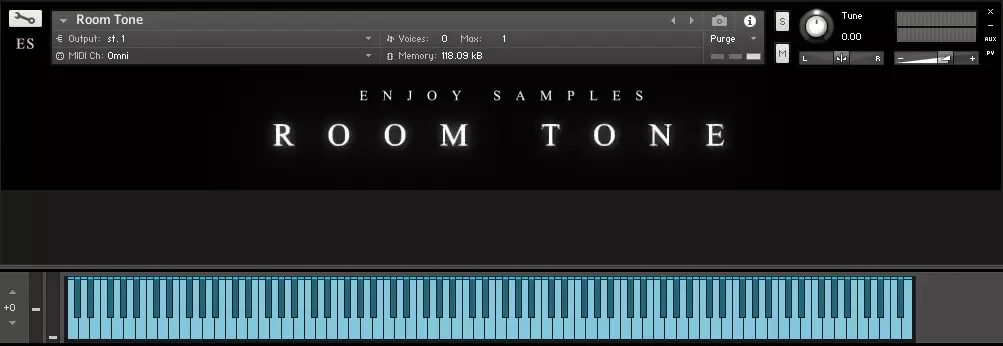 Enjoy Samples Room Tone KONTAKT [FREE] screenshot