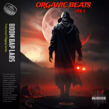Boom Bap Labs Organic Beats Dark Frozen Vol 1 WAV-FANTASTiC screenshot