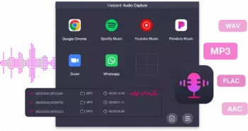 Viwizard Audio Capture v1.1.0.1 WiN screenshot