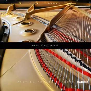 PastToFutureReverbs Grand Piano Reverb! (Steinway B) Impulse Responses (IRs) WAV screenshot