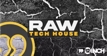 12inchsounds Raw Tech House WAV MiDi-FANTASTiC screenshot