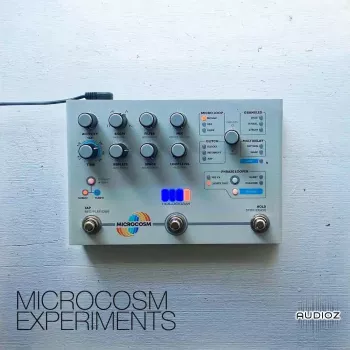 David Hilowitz Microcosm Experiments [Patreon Exclusive] [Decent Sampler]-FANTASTiC screenshot