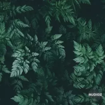 Bruferrbeatz Sage (Drumkit) WAV-FANTASTiC screenshot