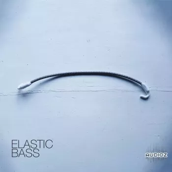 David Hilowitz Elastic Bass [Patreon Exclusive] [Decent Sampler] KONTAKT-FANTASTiC screenshot