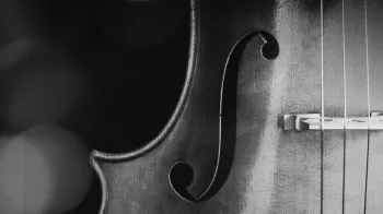 Dan Keen Solo Cello Spurs Kontakt Decent Sampler [FREE] screenshot