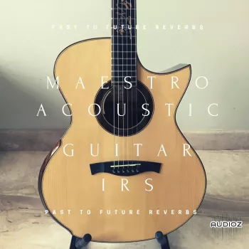 PastToFutureReverbs Maestro Acoustic Guitar IRs! Impulse Responses (IRs) WAV screenshot