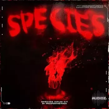 ProofOnTheTrack Spicies Drum Kit WAV MiDi-FANTASTiC screenshot