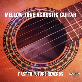PastToFutureReverbs Mellow Tone Acoustic Guitar For Kontakt! KONTAKT screenshot