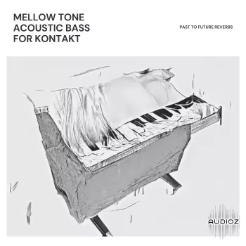 PastToFutureReverbs Mellow Tone Acoustic Bass For Kontakt & WAV! KONTAKT WAV screenshot