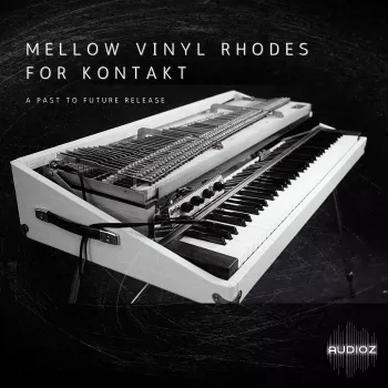 PastToFutureReverbs Mellow Vinyl Rhodes For Kontakt! KONTAKT screenshot