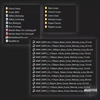 Mobile Music Pro Essentials Midi Pack 09 Electric Guitar [FREE] screenshot