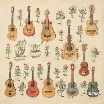 Emeraldp Odb Guitara Vol.2 WAV screenshot