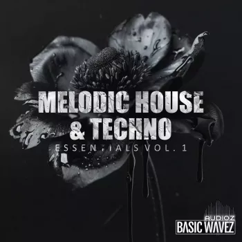 REQ: Basic Wavez Melodic House & Techno Essentials Vol. 1 screenshot