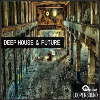 Loopersound Deep House and Future WAV MiDi-FANTASTiC screenshot