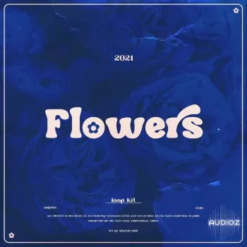 nolyrics FLOWERS MULTiFORMAT-DECiBEL screenshot