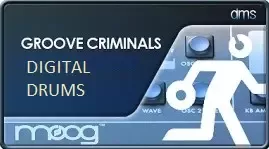 DMS Groove Criminals Digital Drums WAV-AudioP2P screenshot DMS Groove Criminals Digital Drums WAV-AudioP2P screenshot