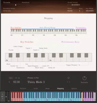 Native Instruments Irish Harp v1.0.2 KONTAKT [FREE] screenshot