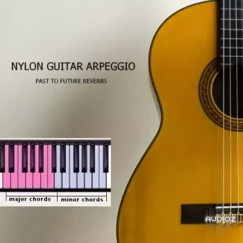 PastToFutureReverbs Nylon Guitar Arpeggio For Kontakt! KONTAKT screenshot