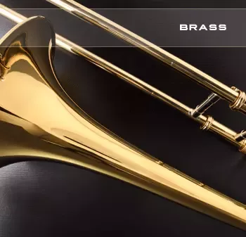 Soundsdivine Brass for SEQUENTIAL PROPHET 5/10-GTA screenshot Soundsdivine Brass for SEQUENTIAL PROPHET 5/10-GTA screenshot