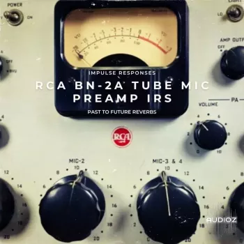 PastToFutureReverbs RCA BN-2A Tube Mic Preamp IRs! Impulse Responses (IRs) WAV screenshot
