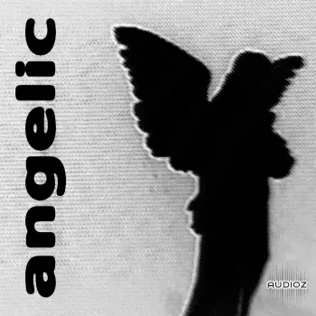 Sapjer Angelic Drumkit WAV-FANTASTiC screenshot