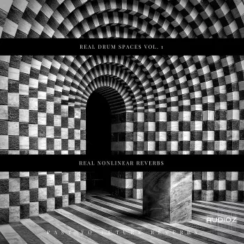 PastToFutureReverbs Real Drum Spaces Vol. 1! (Real Nonlinear Reverbs) Impulse Responses (IRs) WAV screenshot