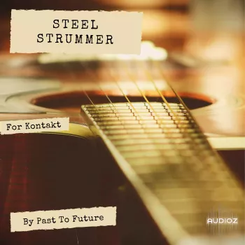 PastToFutureReverbs Steel Strummer For Kontakt! KONTAKT screenshot
