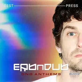 Test Press Erb N Dub 'DnB Anthems' WAV MIDI SERUM PRESETS-GTA screenshot