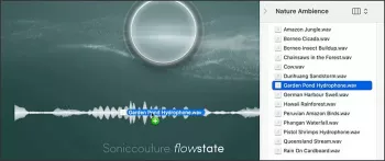 Soniccouture Flowstate KONTAKT截图