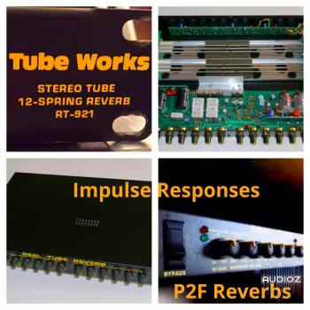PastToFutureReverbs Tubeworks RT-921 Stereo Tube 12 Spring Reverb! Impulse Responses (IRs) WAV screenshot