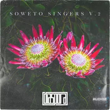 Diaspora Soweto Singers Vol.2 WAV-FANTASTiC screenshot