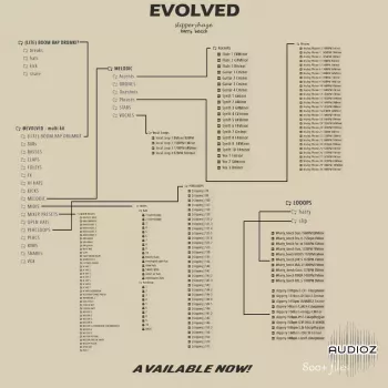 Slipperyhaze EVOLVED Multi-Kit WAV MiDi FST-FANTASTiC screenshot