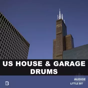 Little Bit US House & Garage Drums Wav screenshot