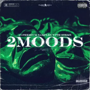 Flame Audio 2moods: Emotional Stems WAV MiDi-FANTASTiC screenshot