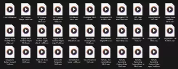 Hansen Audio Both Packs Bundle Updated WAV TCI Files-ARCADiA screenshot