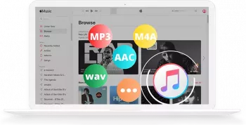 Pazu Apple Music Converter v1.8.4 (x64) Multilingual screenshot