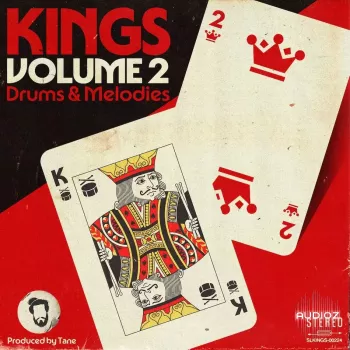 Tane Kings Vol.2 Drums and Melodies WAV-FANTASTiC screenshot