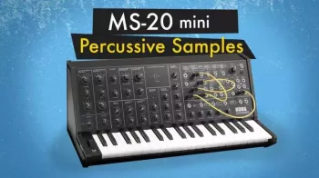 The Sound of Machines MS-20 Mini: Percussive Synth Samples AiFF-FANTASTiC screenshot