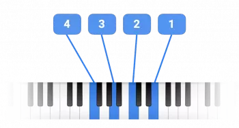Nextmidi Divisimate Micro 1.0.5