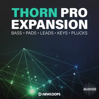 New Loops Thorn Pro Expansion DS AUDIO THORN PRESETS-GTA screenshot