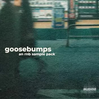 Jazzfeezy Goosebumps: Rnb (James Penley) WAV-FANTASTiC screenshot