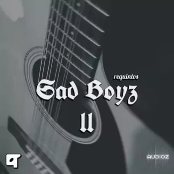 Akyai Requintos Sad Boyz ii WAV-FANTASTiC screenshot