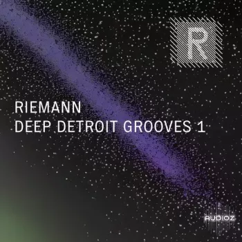 Riemann Kollektion Riemann Deep Detroit Grooves 1 WAV-FANTASTiC screenshot