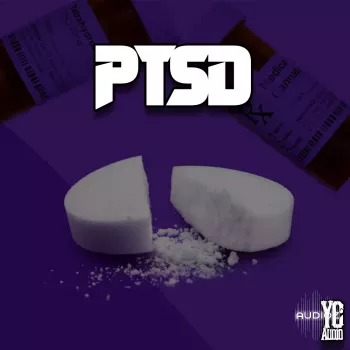 YC Audio Ptsd WAV-FANTASTiC screenshot