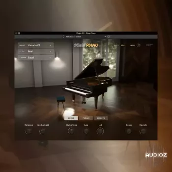 AIR Music Technology Stage Piano v1.2.1.14-TeamCubeadooby screenshot