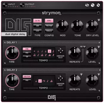 Strymon DIG Plugin v1.0.0-R2R screenshot