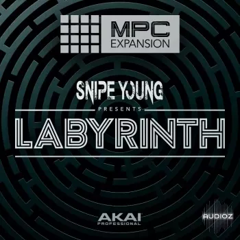 Akai MPC Expansion LABYRINTH StandAlone screenshot