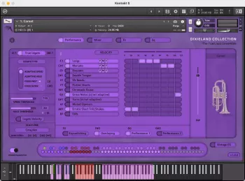 Insanity Samples DIXIELAND COLLECTION v1.0.0 KONTAKT screenshot